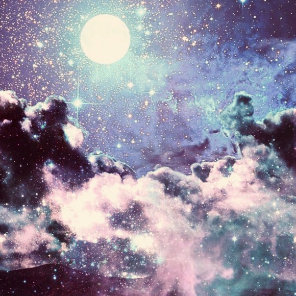 Meet your Posher, Cassidy - Picture 2 of 2